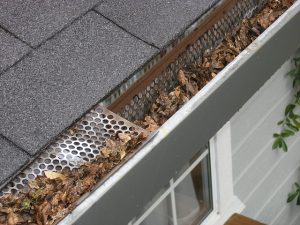 What You Need To Know About Clogged or Broken Gutters