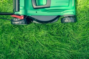 Tips for Keeping Your Lawn Green All Season Long