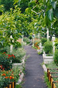 Ways to Garden With a Purpose
